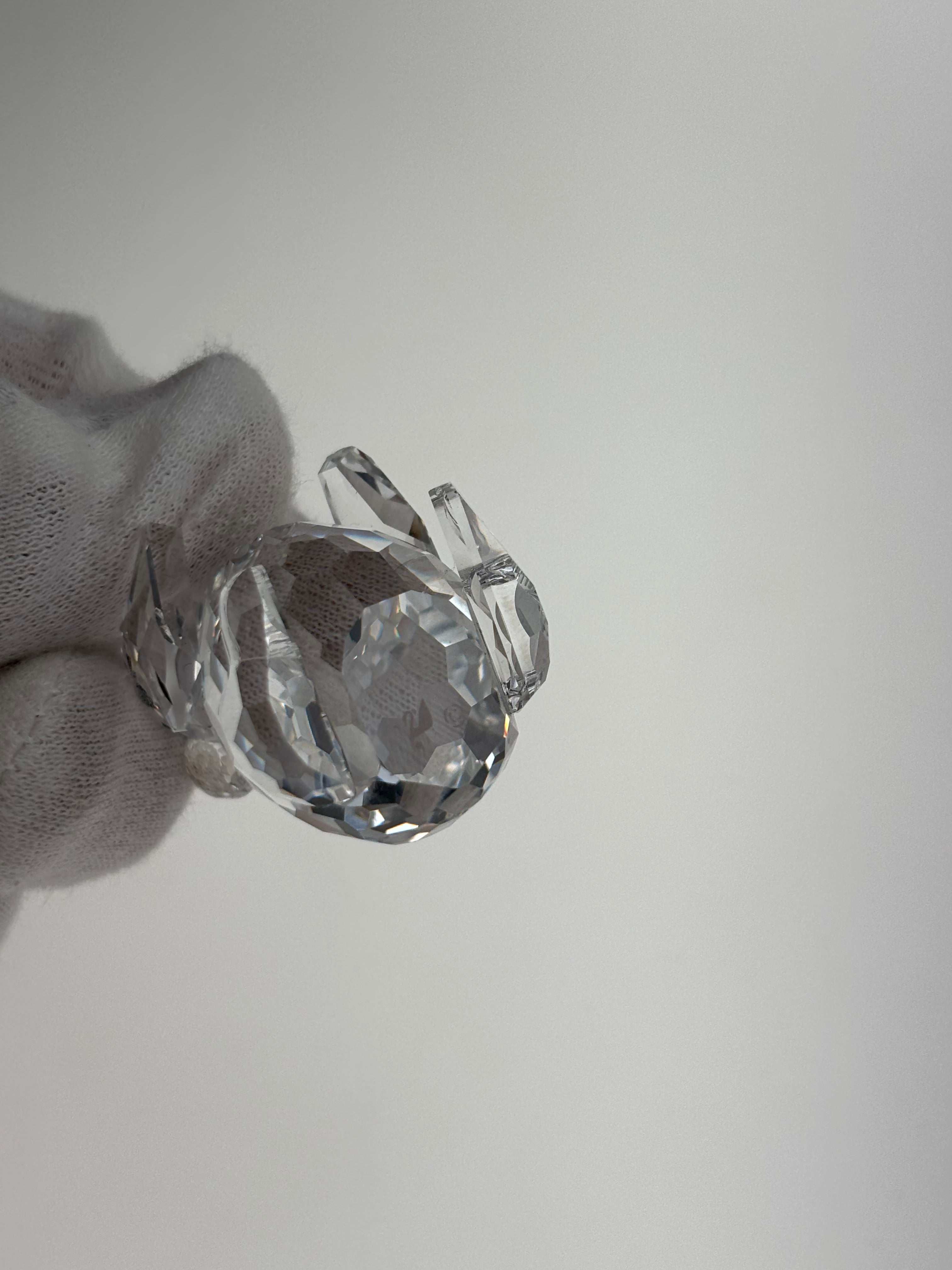 Swarovski Koala Bär